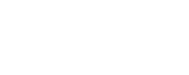 Dwidaya Holidays